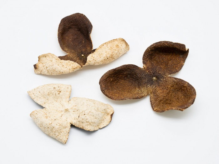 4. Sınıf İngilizce 1 ve 2 Ünite Testleri